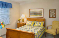 senior apartments, senior living, senior village