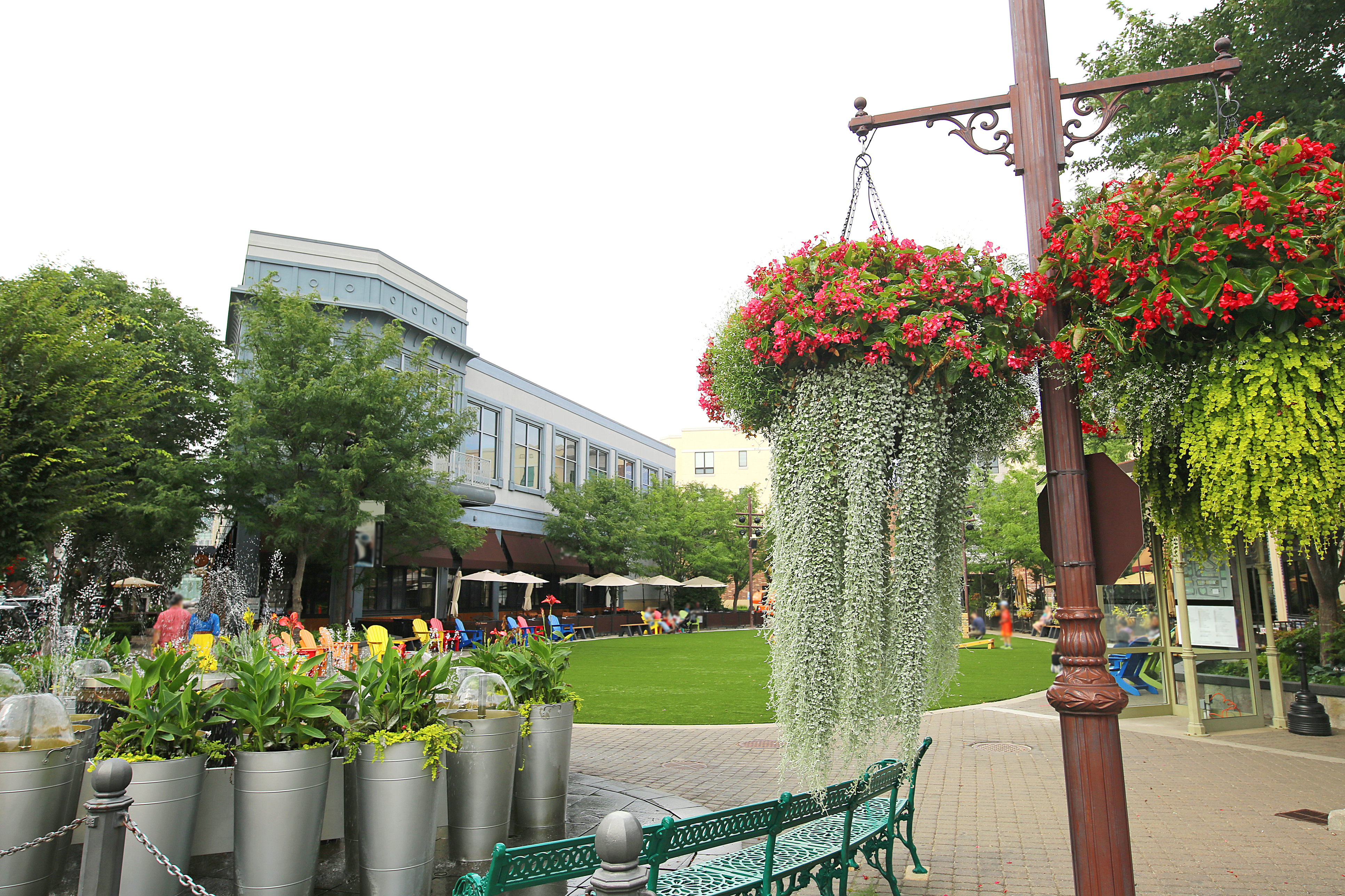 Calamar Builder, Developer, Manager and Financier